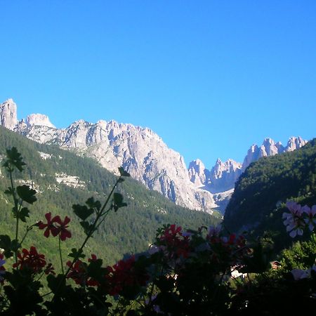 Garnì Lago Alpino Molveno Esterno foto