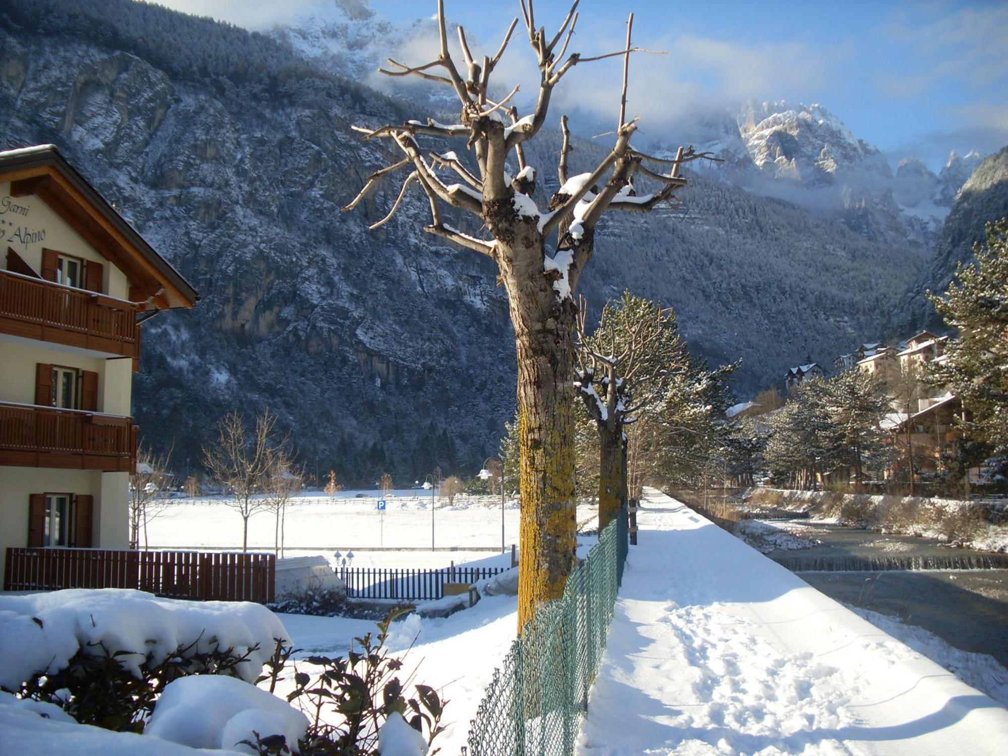 Garnì Lago Alpino Molveno Esterno foto